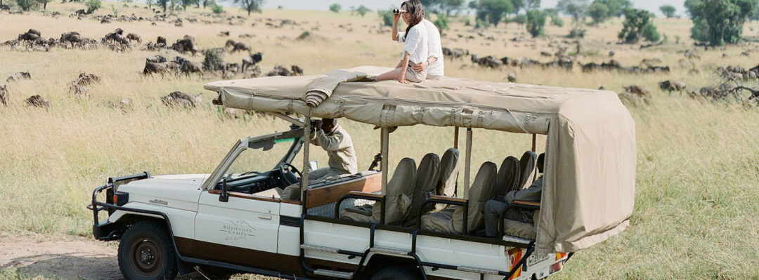 Couple on a game drive