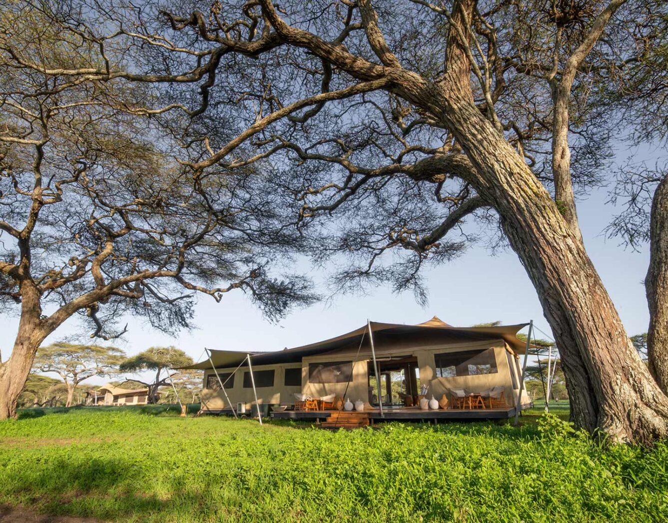 Outside view of the roving tent under a tree