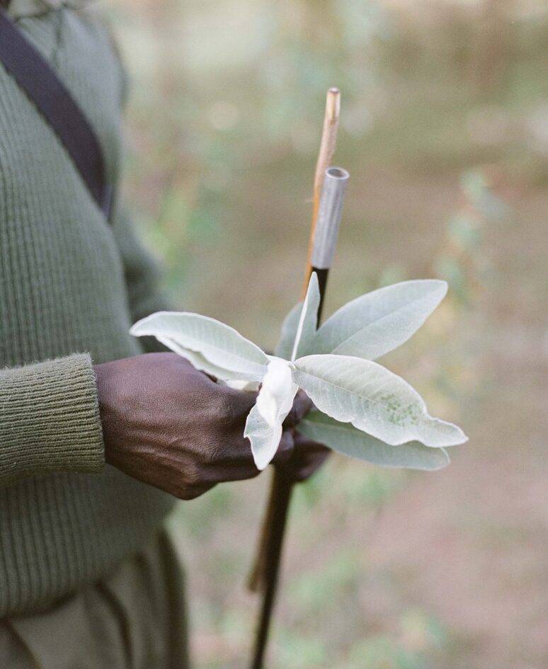 A man holding some leaves