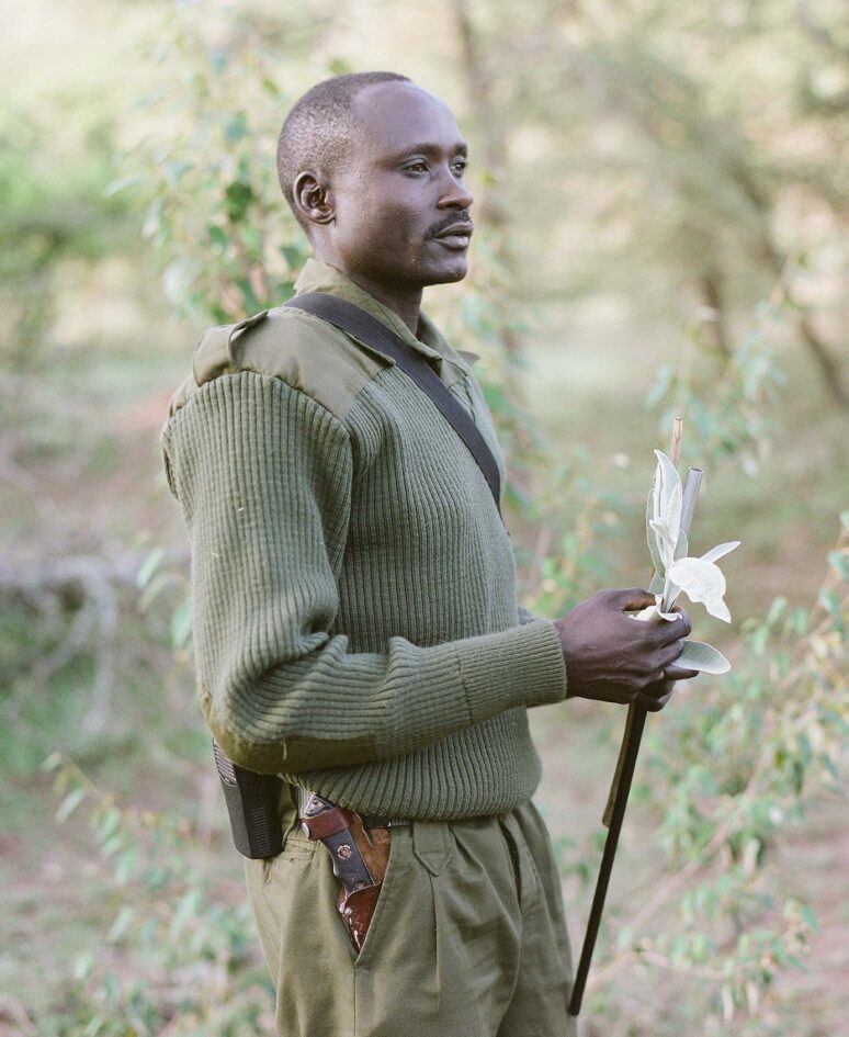 A guide explains natural foliage