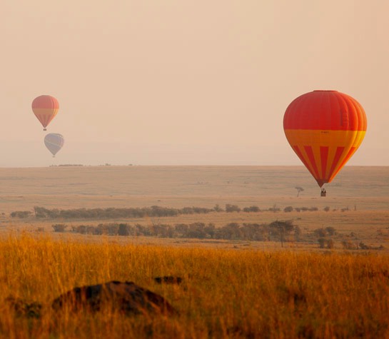 Hot air balloons