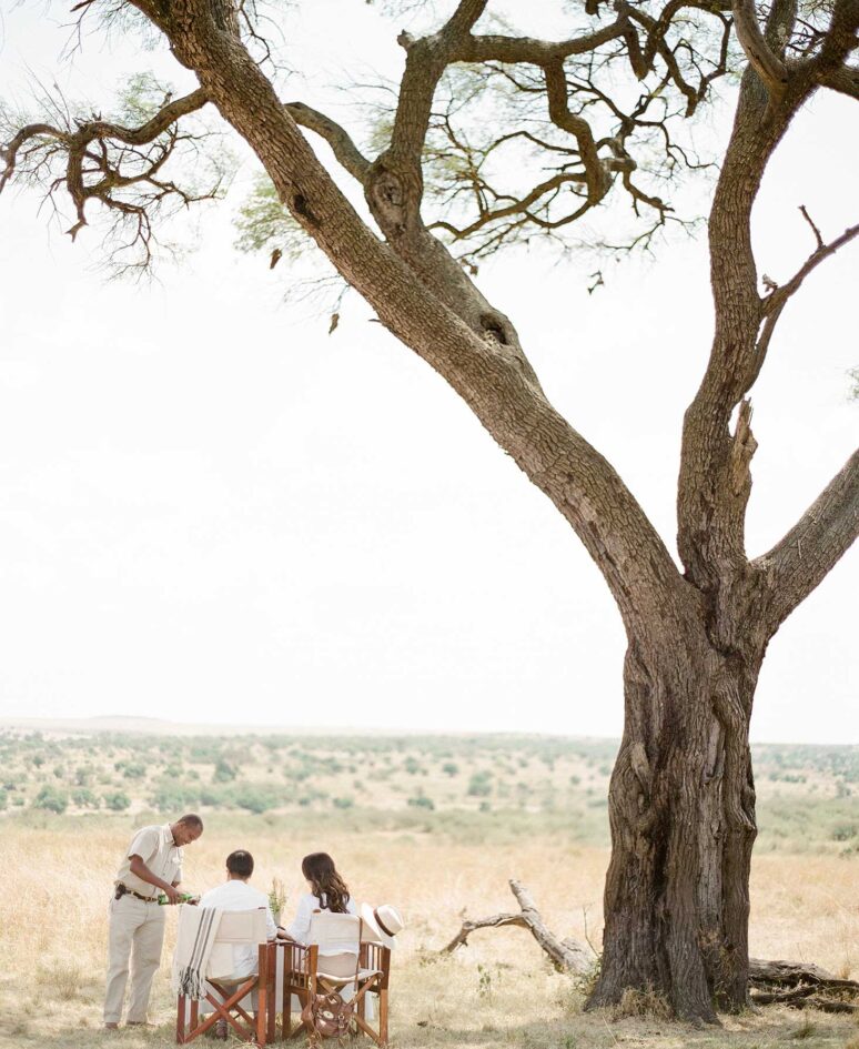 A couple eating breakfast in the bush