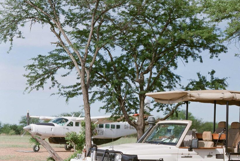 A cruiser sitting beside a tree and a plane