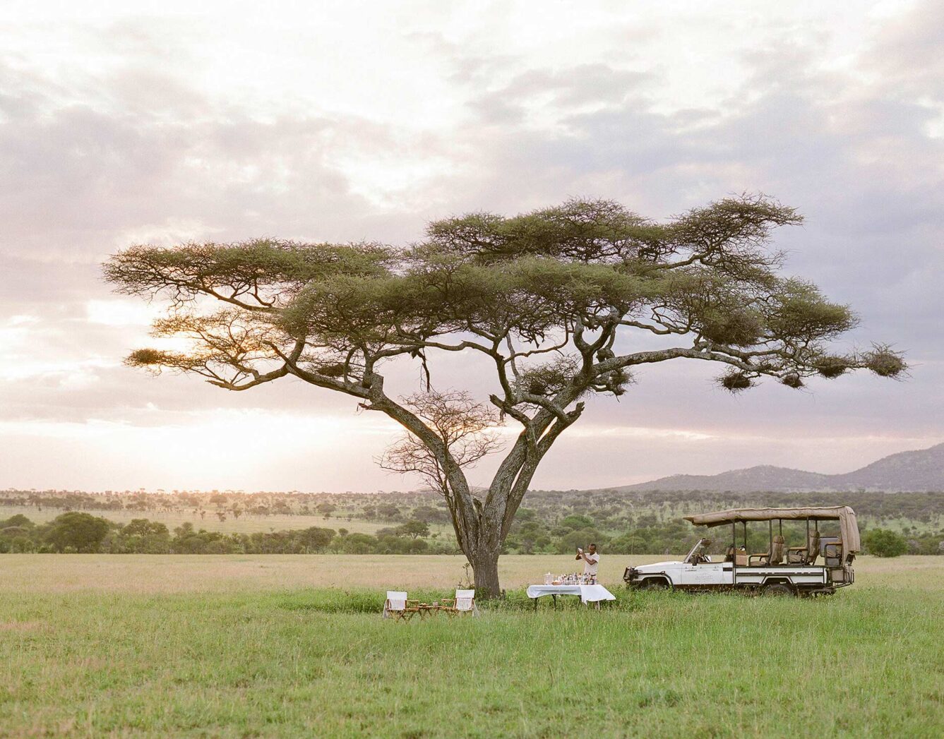 A rover and dinner table under a tree at sunset