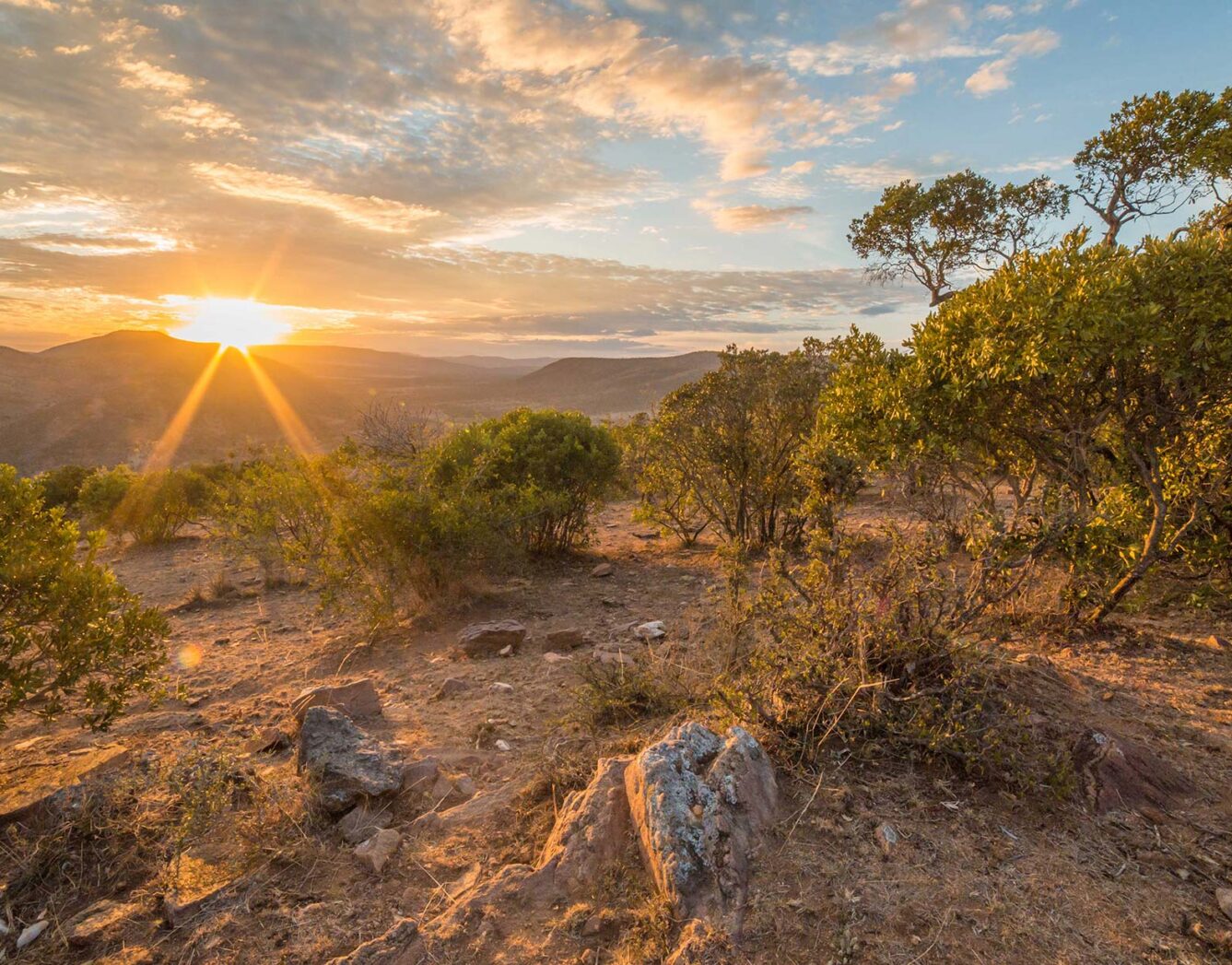 Sunrising over the Masai Mara