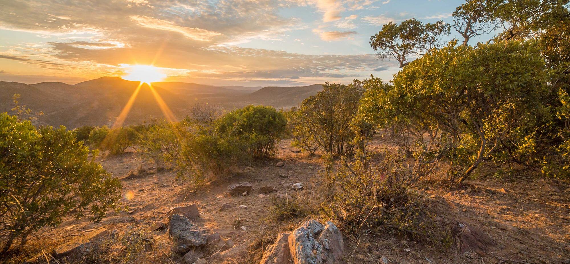 Sunrising over the Masai Mara