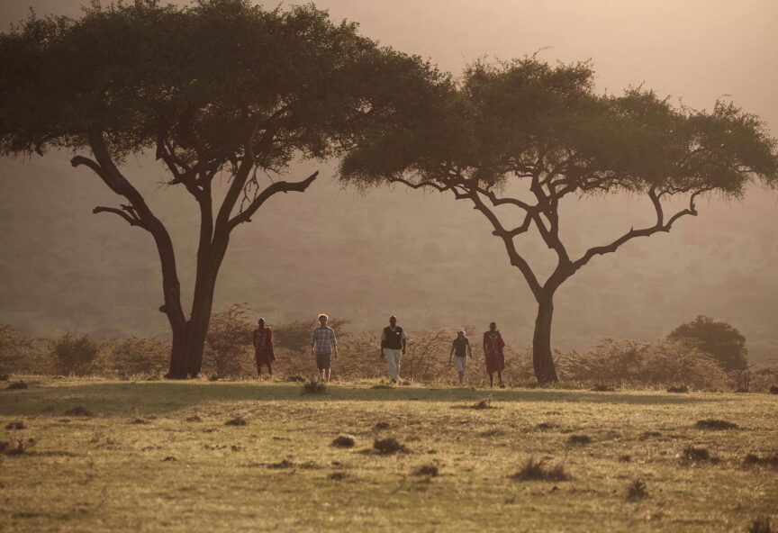 A groups walks across the mara conservancy