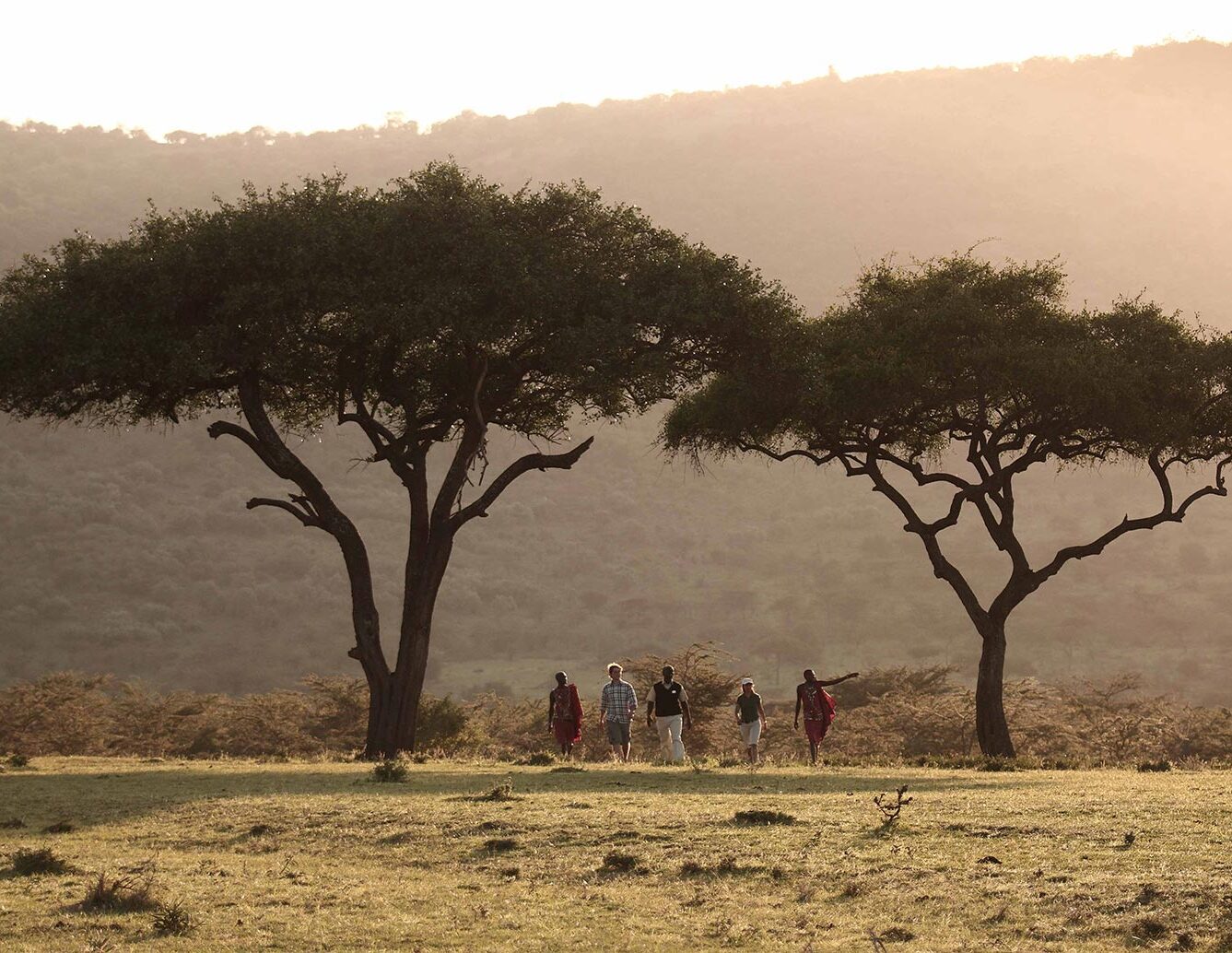 A group walk through the grass under trees