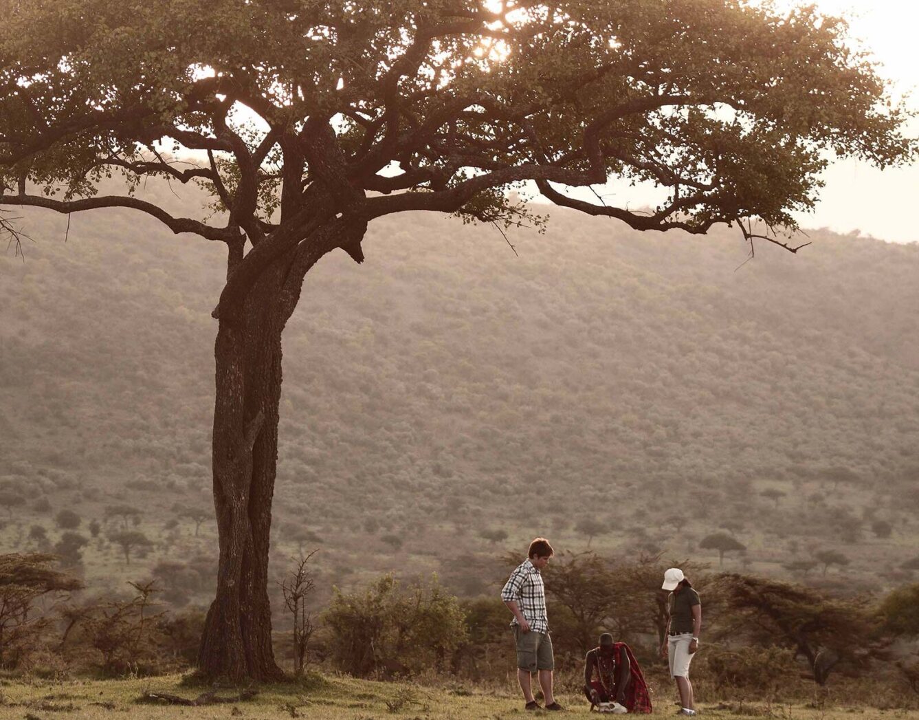 A group look at something in the grass under a tree