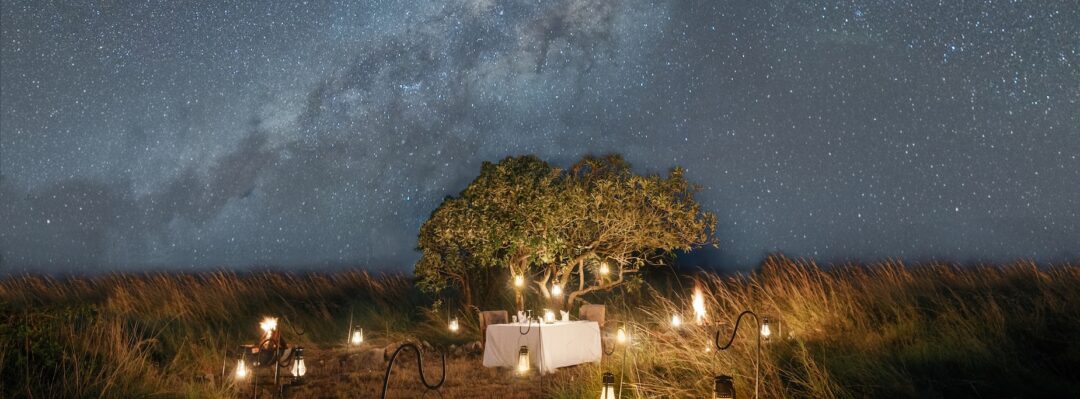 dinner under the stars