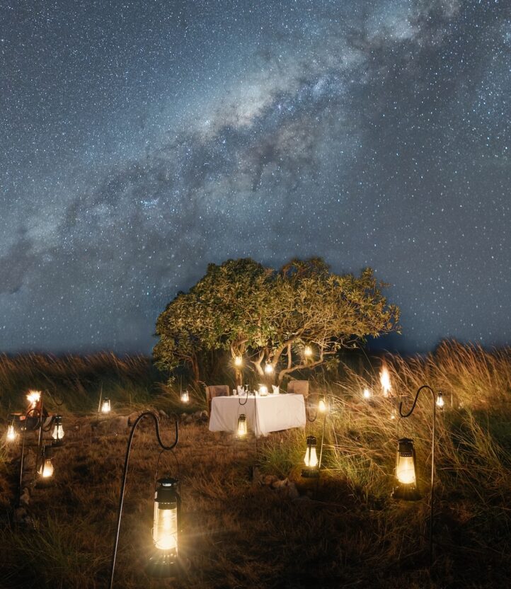dinner under the stars