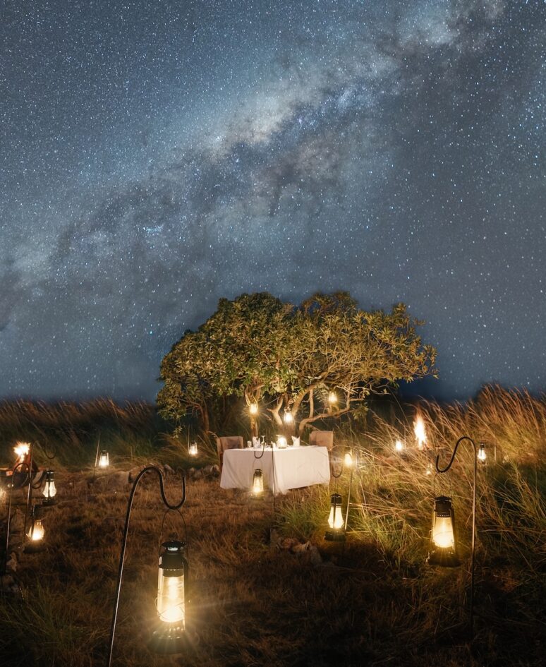 dinner under the stars