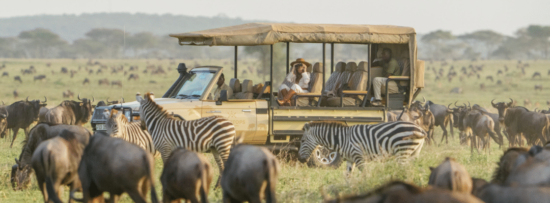 Bushtops Safari Adventure