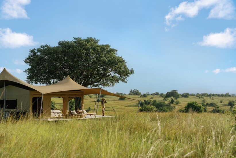 honeymoon tent roving bushtops