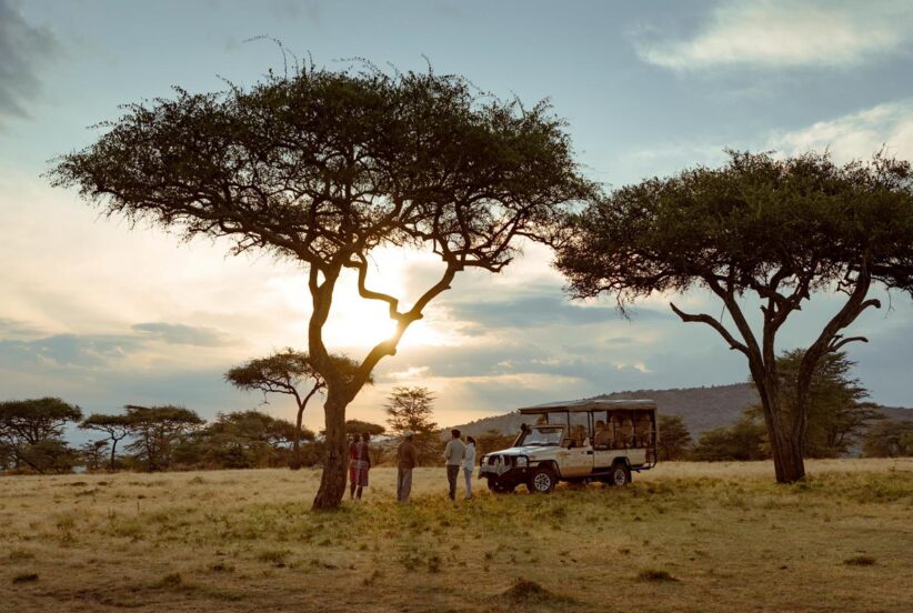 Mara Bushtops sunrise 4x4 safari