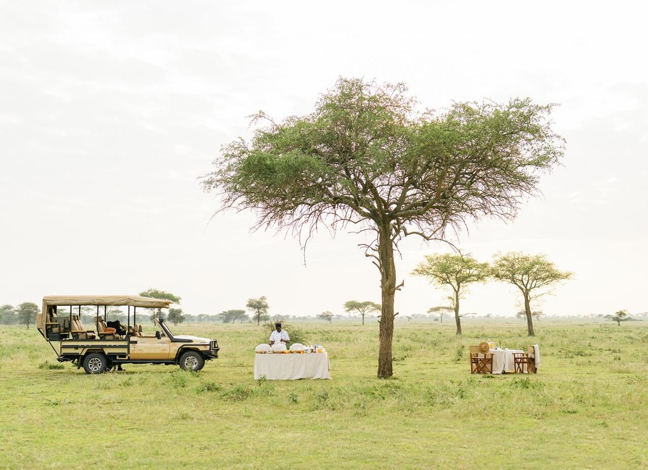 safari bush breakfast with bushtops camps