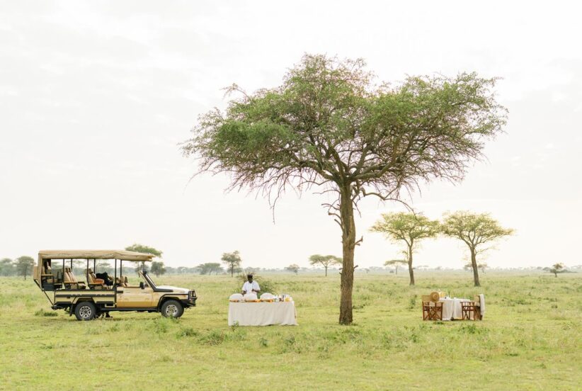safari bush breakfast with bushtops camps