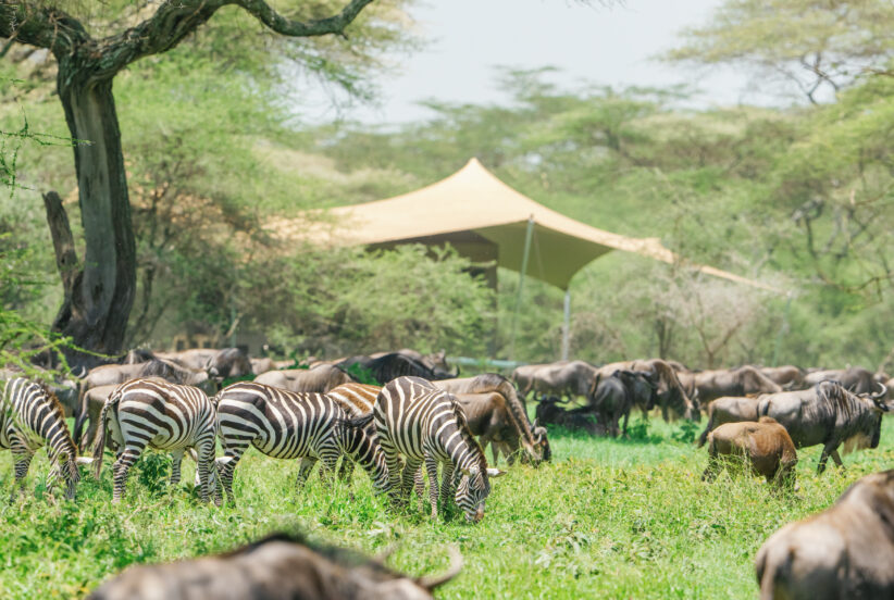 Safari Lodges in Tanzania