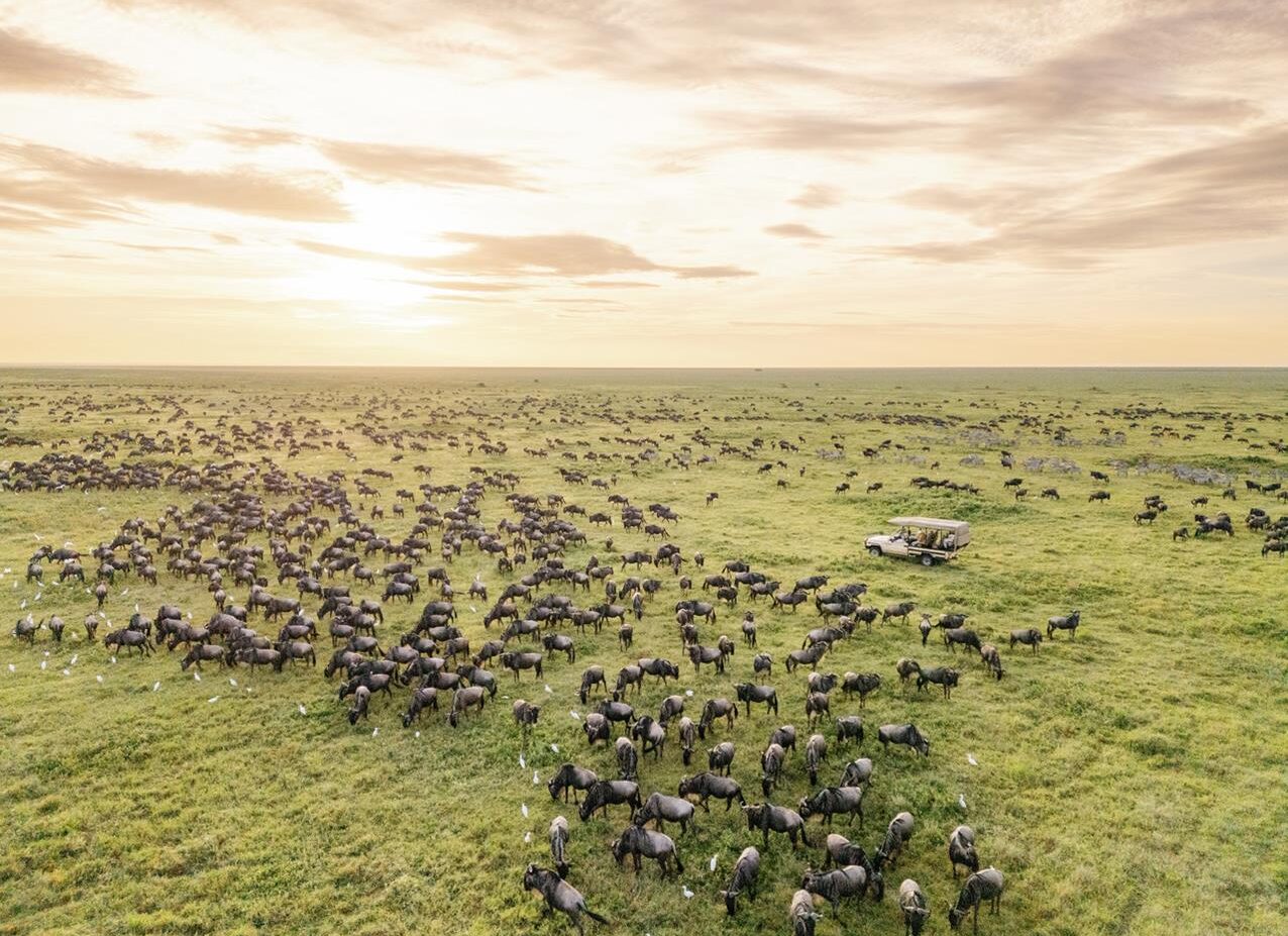 Safari jeep overlooking the African savannah during a golden sunset