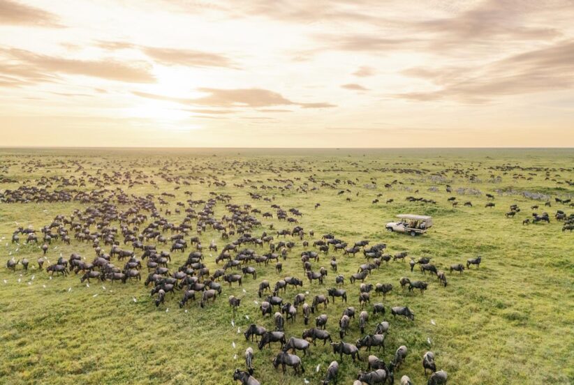 Safari jeep overlooking the African savannah during a golden sunset